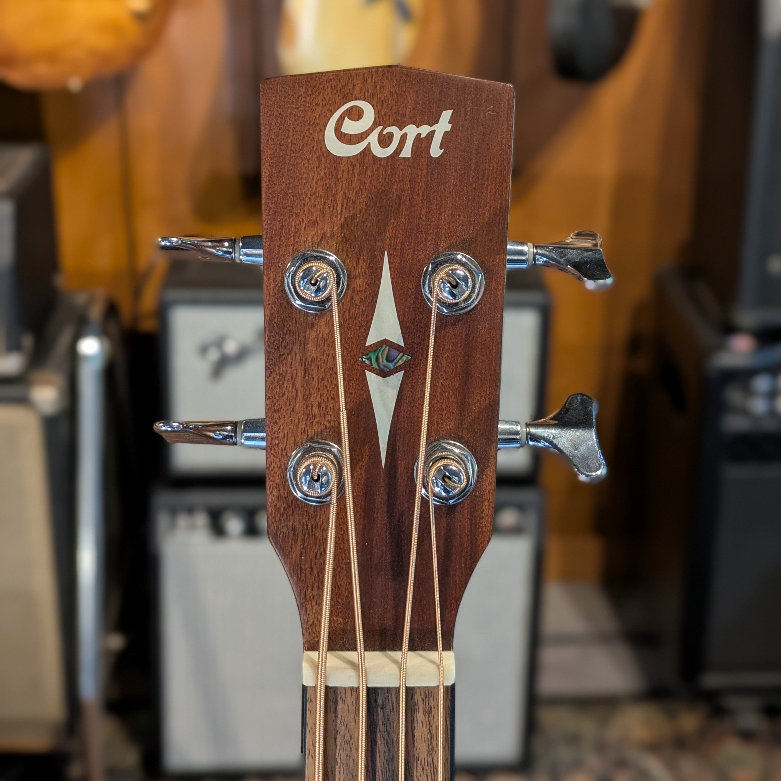 Cort SJB5F NS Acoustic 4-String Bass Cutaway with Electronics