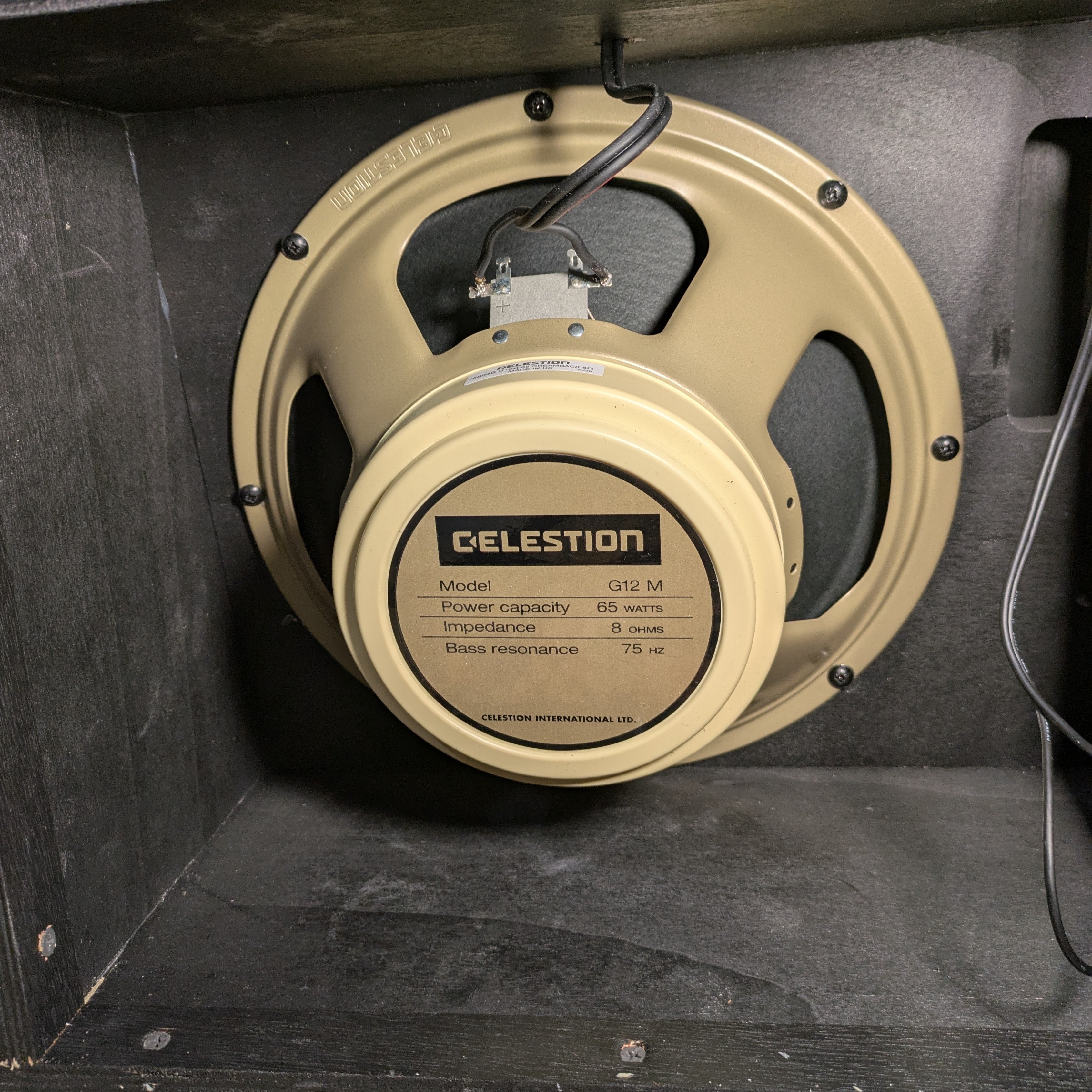 Invaders Amplification 535 Bluegrass Combo Reverb