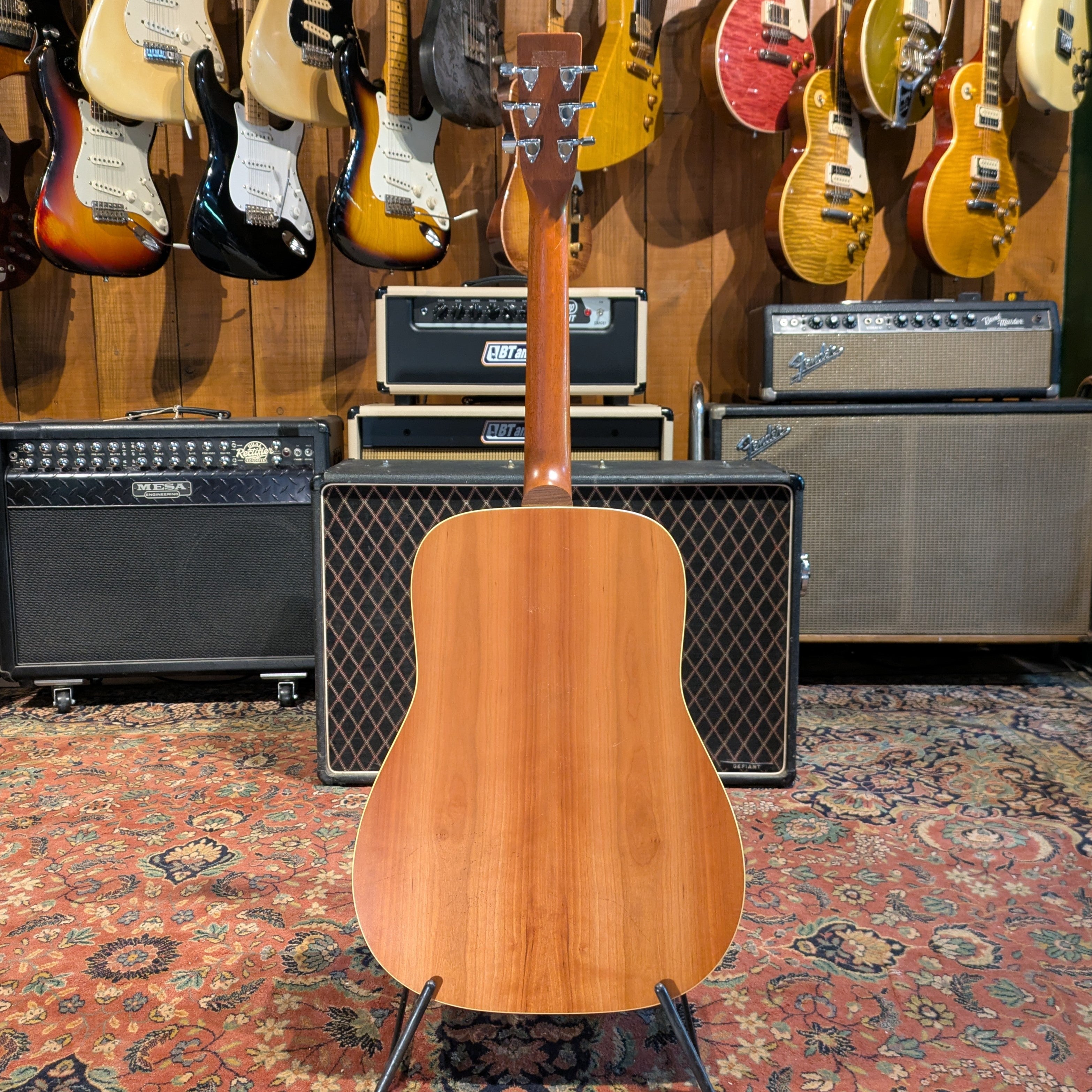 Norman B-20(6) - Natural