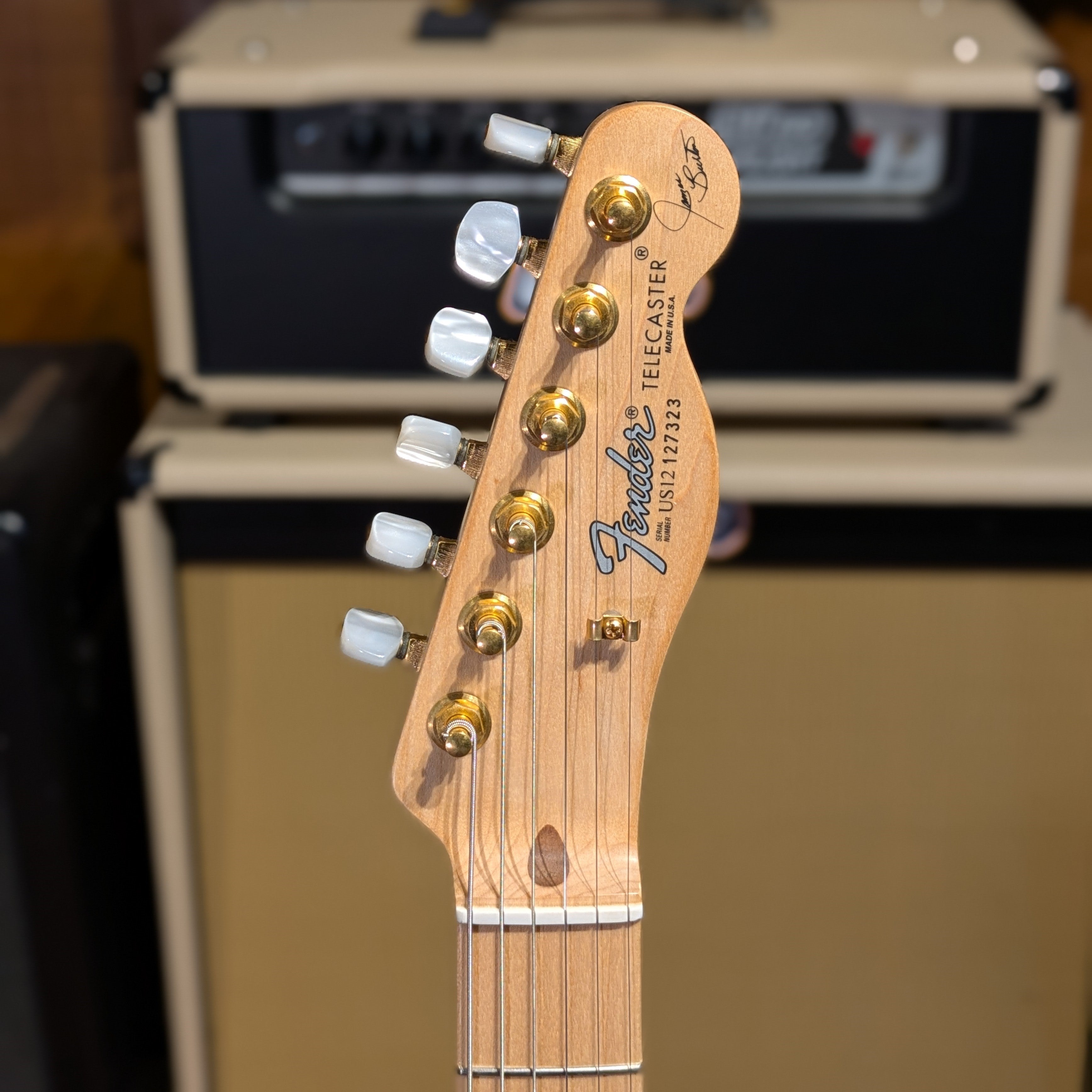 Fender James Burton Artist Series Signature Telecaster 2013 - Red Paisley Flames