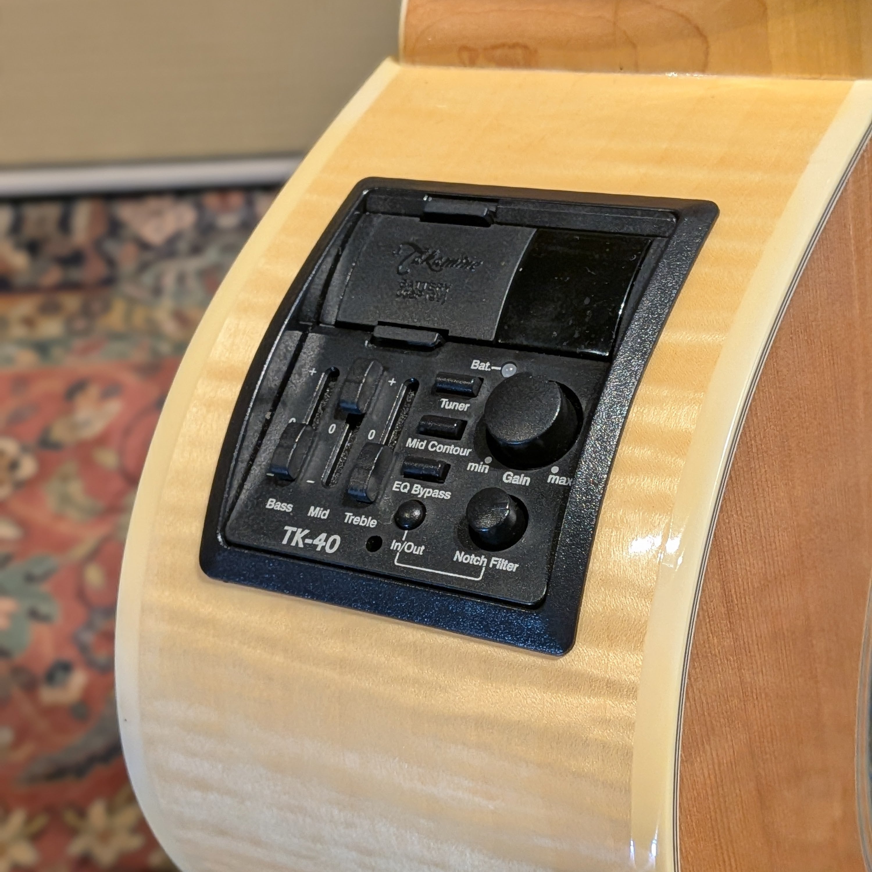 Takamine EG-523SC 2000s - Natural