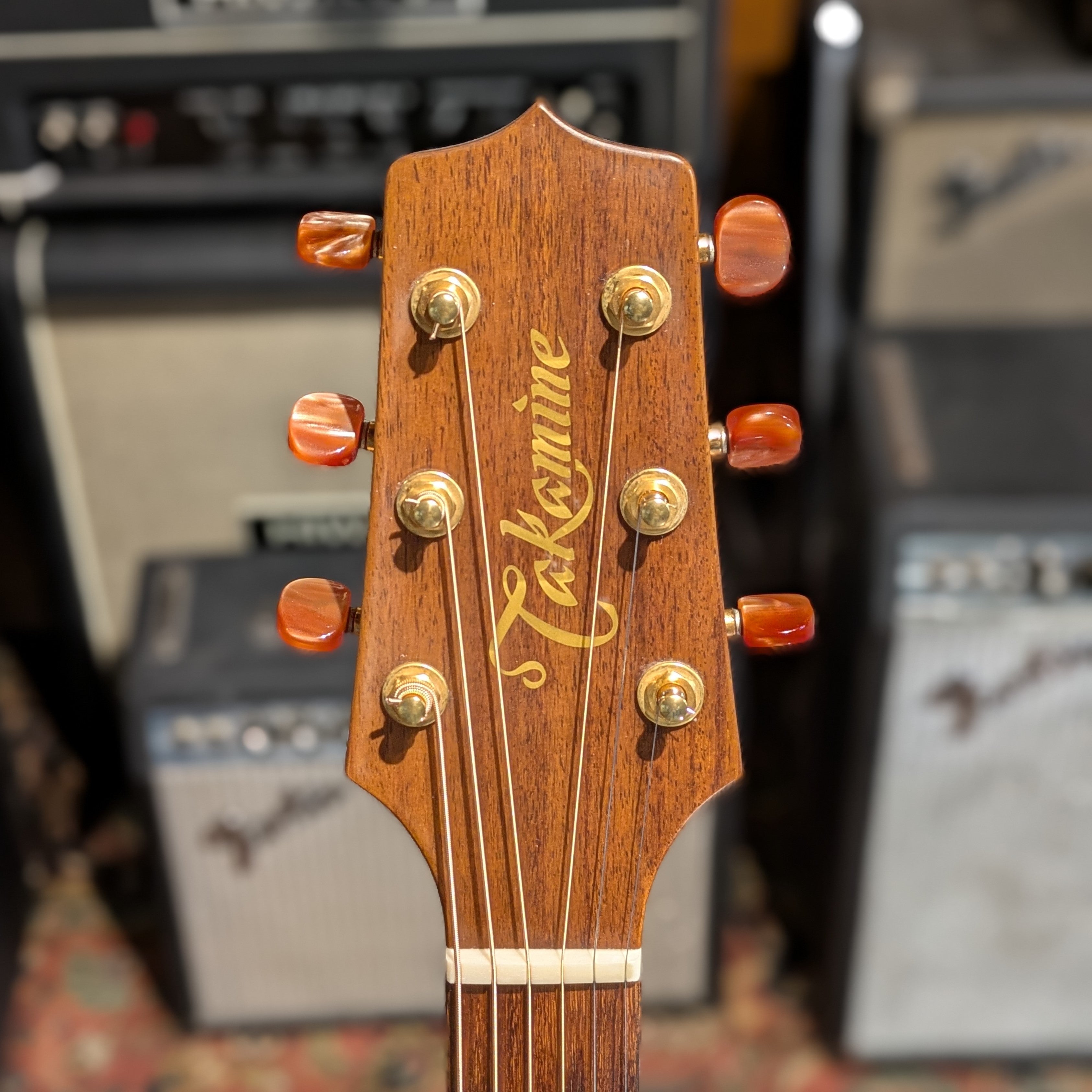 Takamine EN-10C
