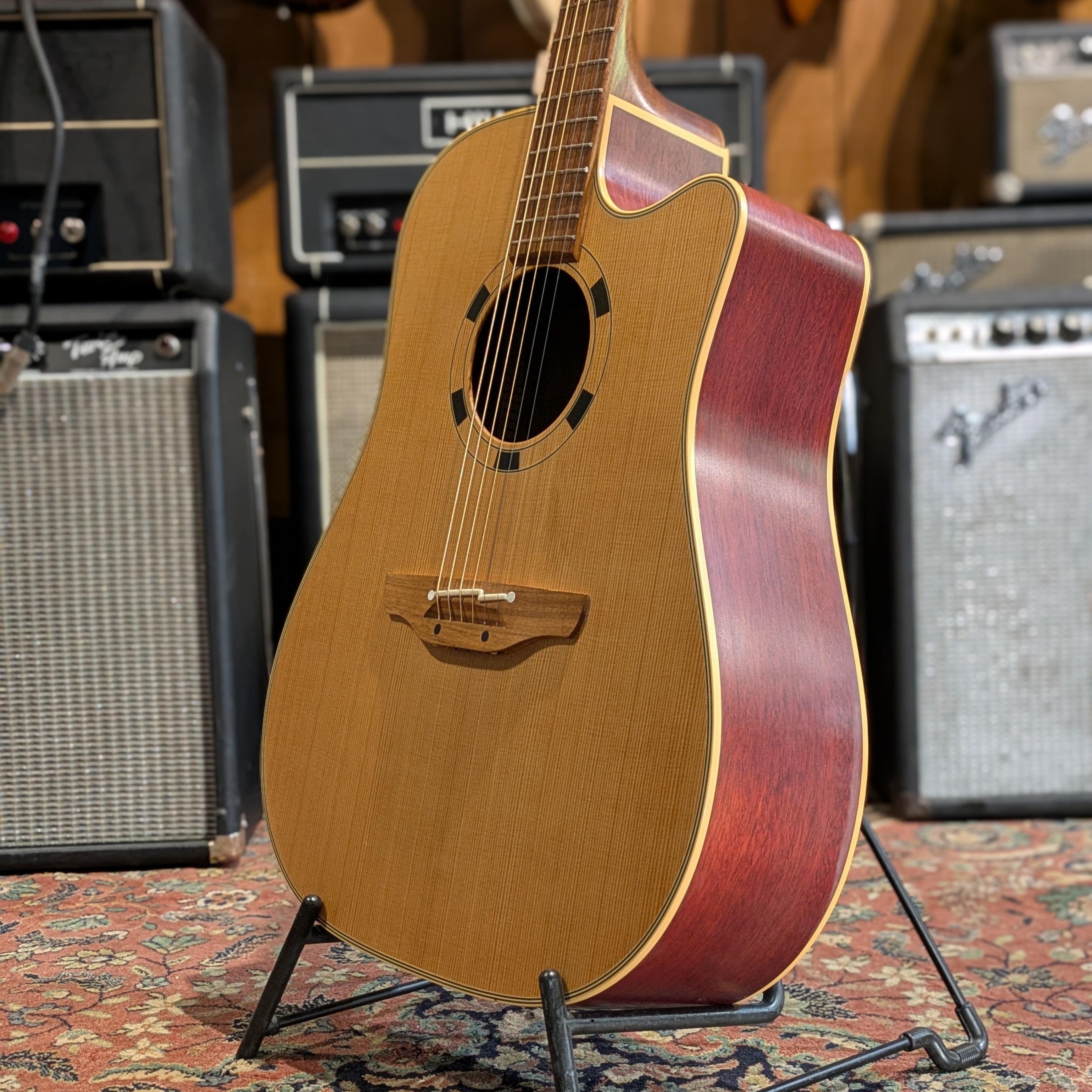 Takamine EN-10C