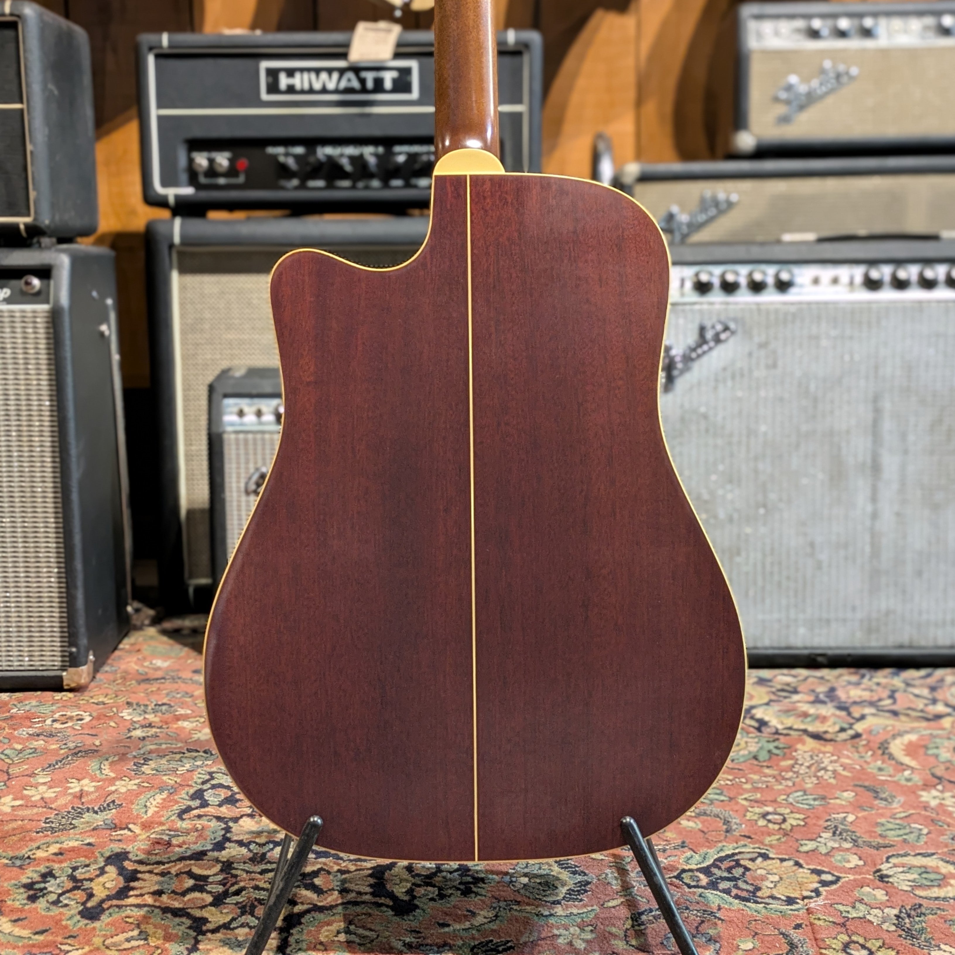 Takamine EN-10C