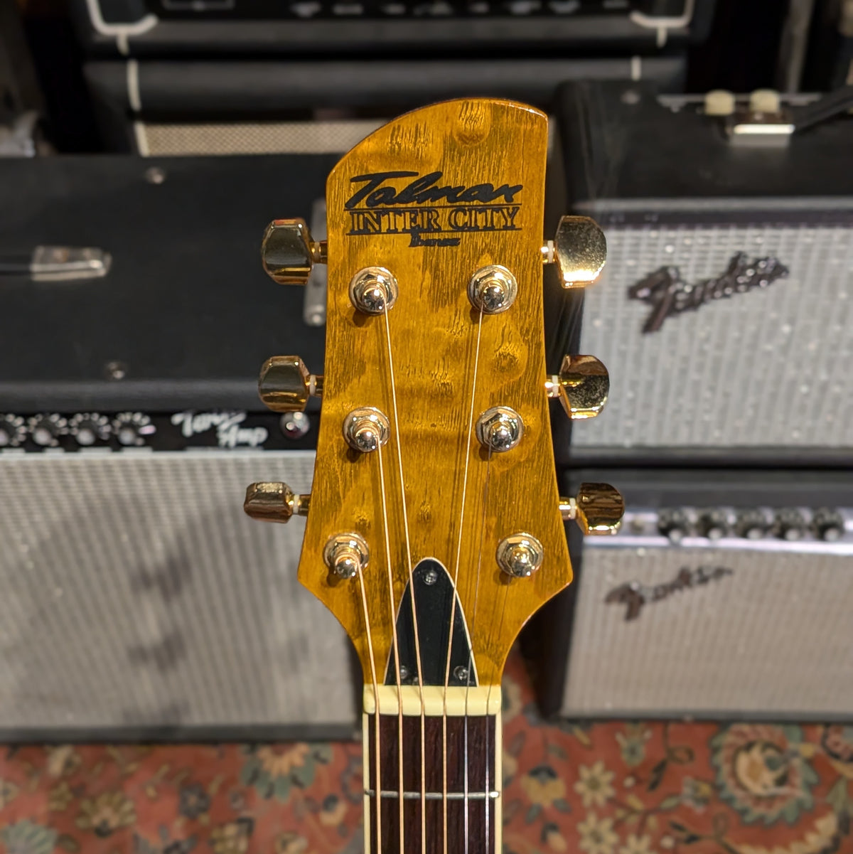 Ibanez TCY25 Talman Inter City