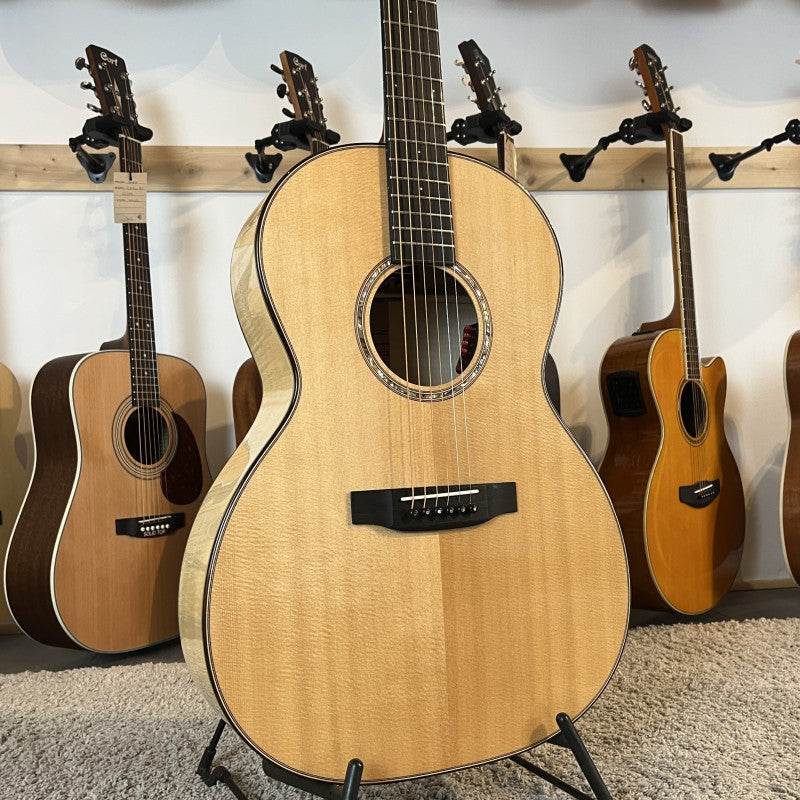 Auden Chester Maple Serie (2020)