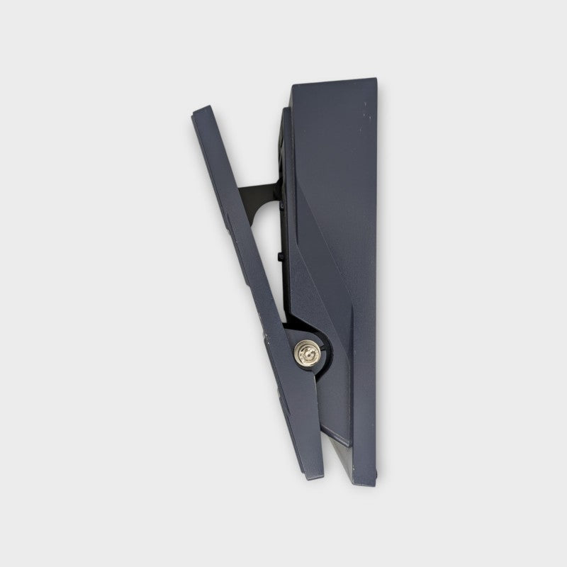 Boss EV-30 Dual Expression