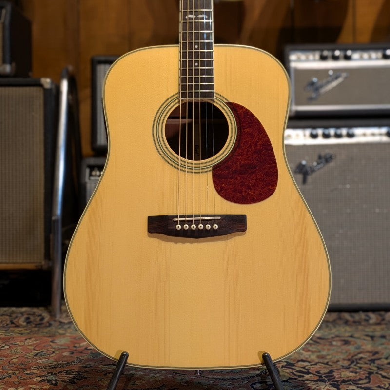 Cort EARTH-200 with Fishman Classic 4 preamp