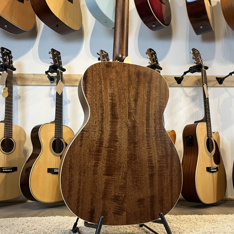 Cort Luce L100-O Cedar