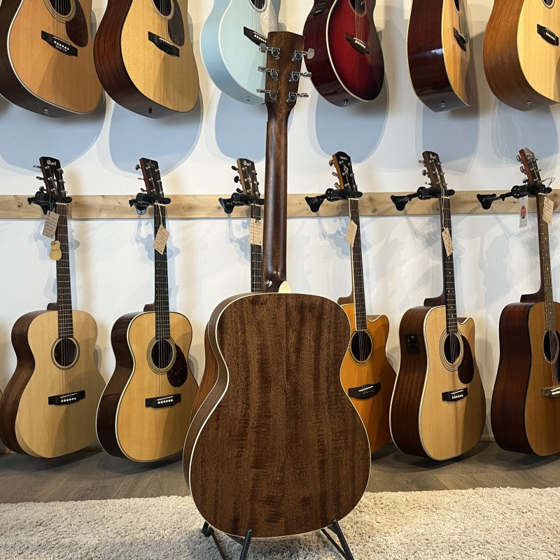 Cort Luce L100-O Cedar