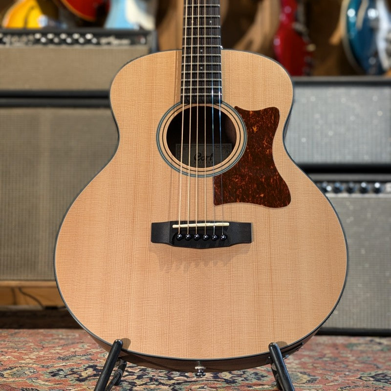 CORT LITTLE CJ WALNUT OP