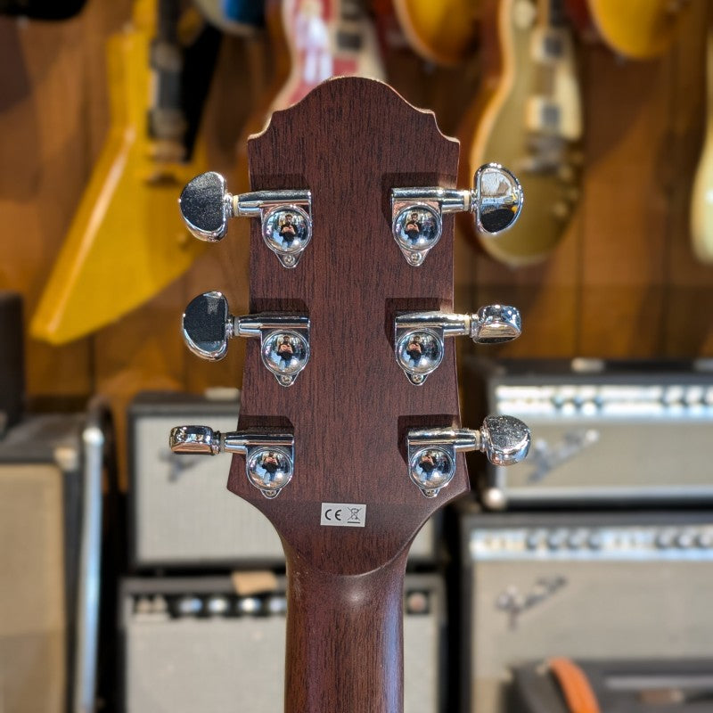 Crafter SA-TMVS LH Gaucher