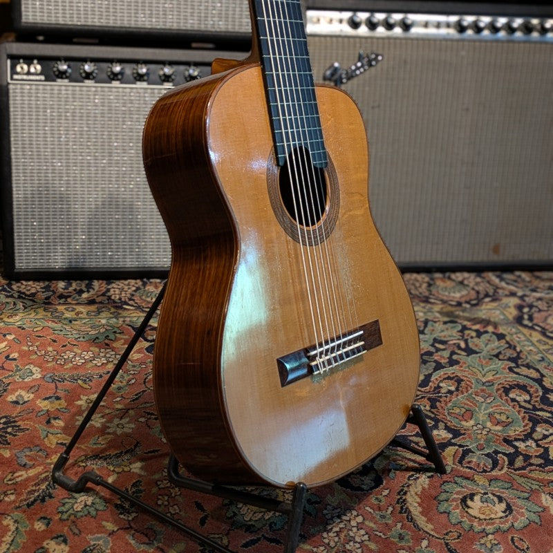 Gerhard Schnabl 8 STRINGS