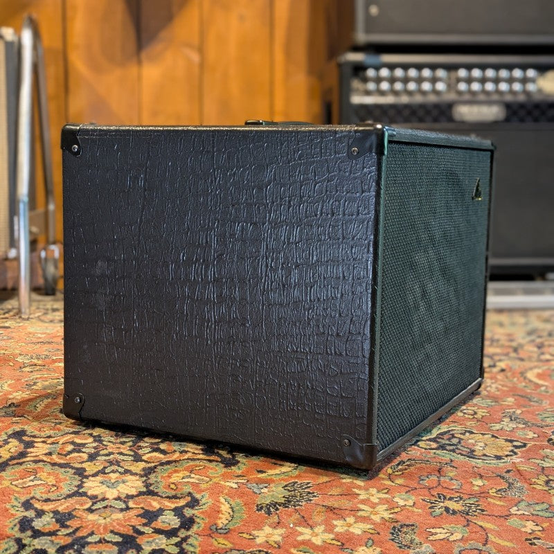 GSS ACOUSTIC MASTER BAFFLE CAB