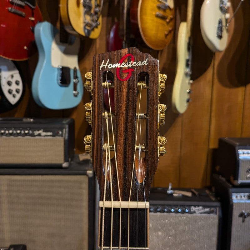 Homestead Guitars DS