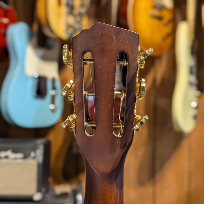 Homestead Guitars DS