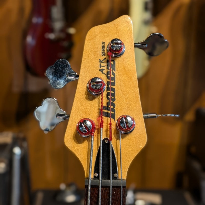 Ibanez ATK300FL-AMS Standard - Fretless