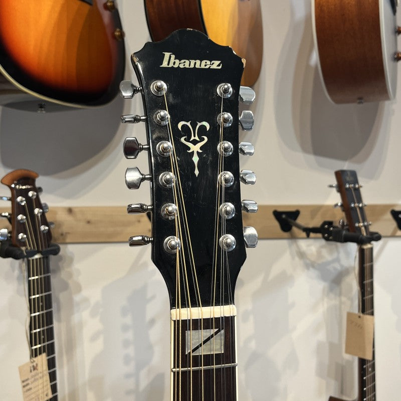 Ibanez F302
