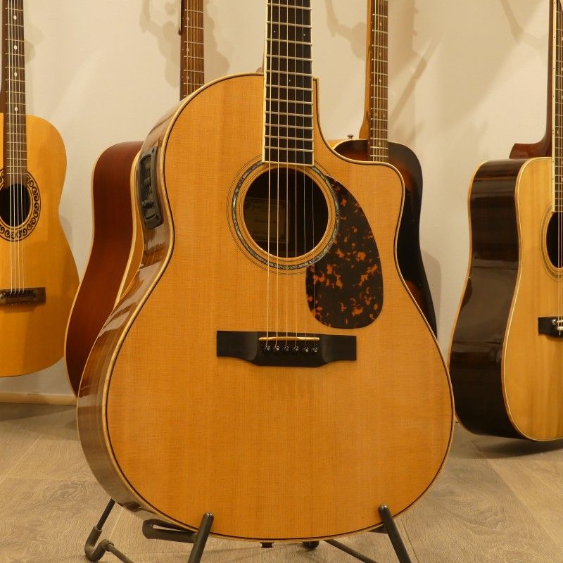 Larrivée LV-09E Rosewood Artist Series USA