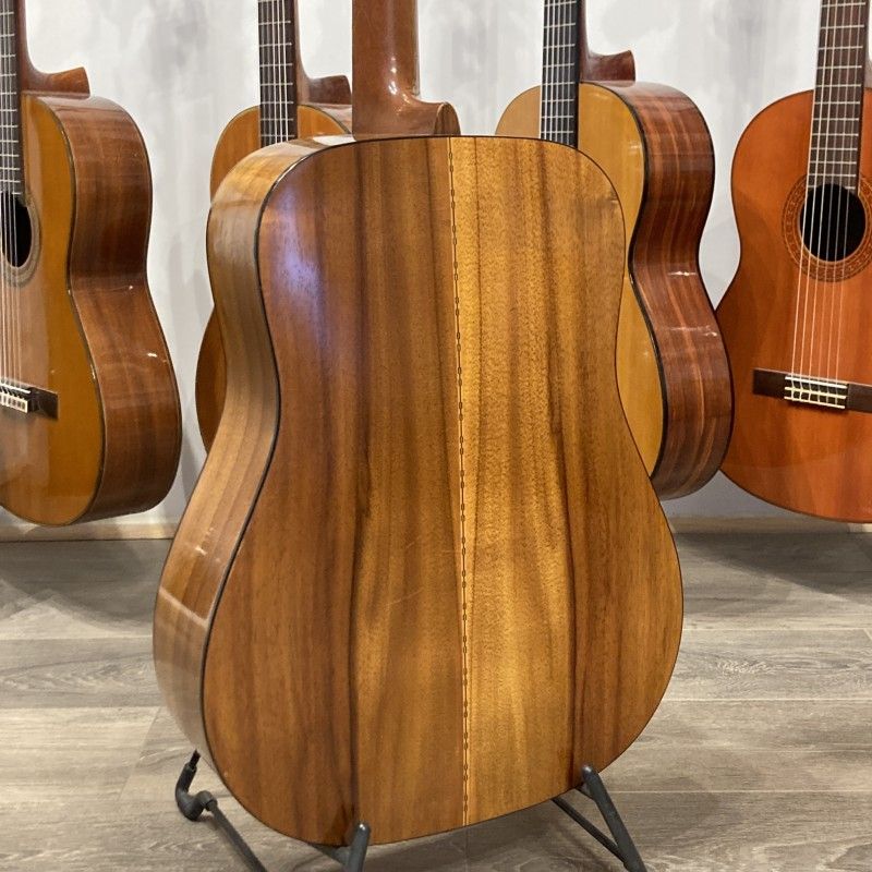 MARTIN D-25K + LR BAGGS PICKUP (1980) USA