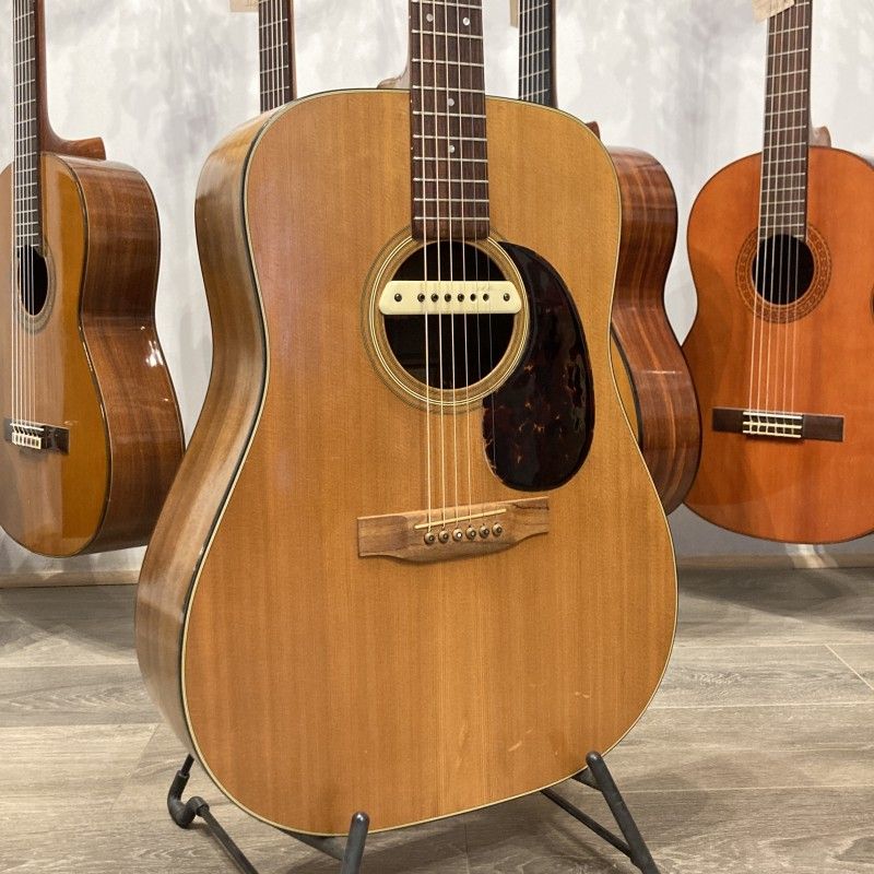 MARTIN D-25K + LR BAGGS PICKUP (1980) USA