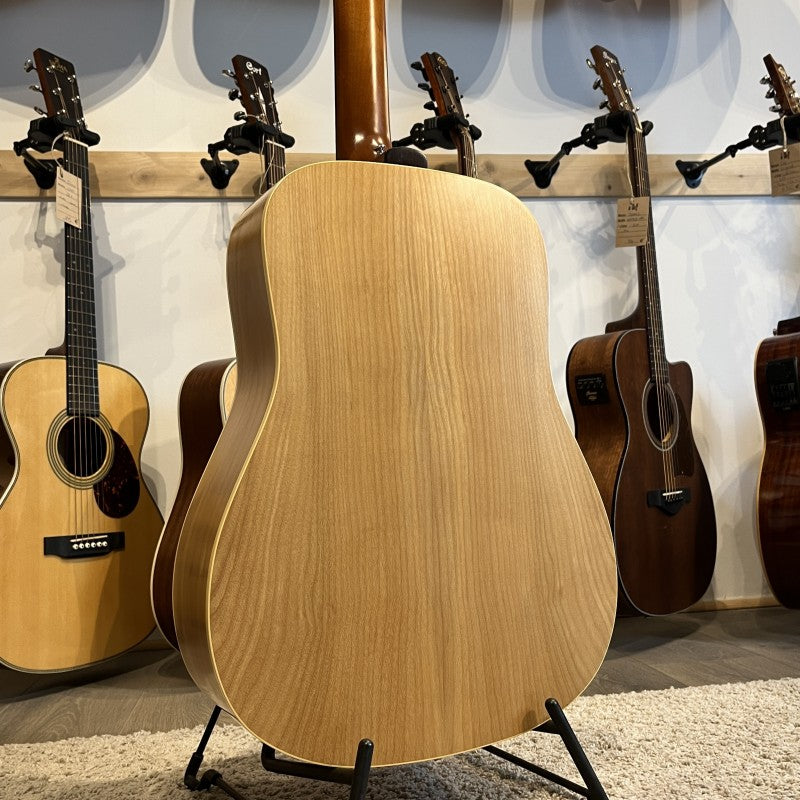 Norman Encore B20- 12 strings