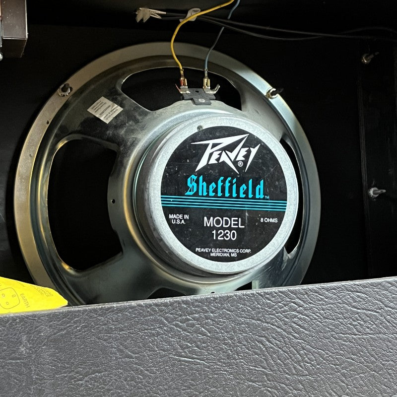 Peavey Express 112S