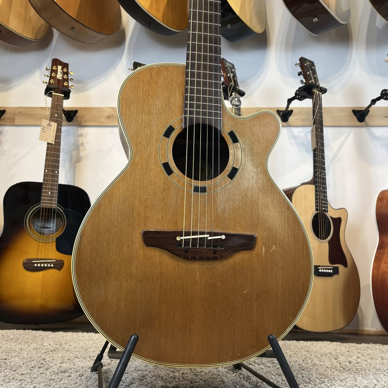 Takamine EN-30C
