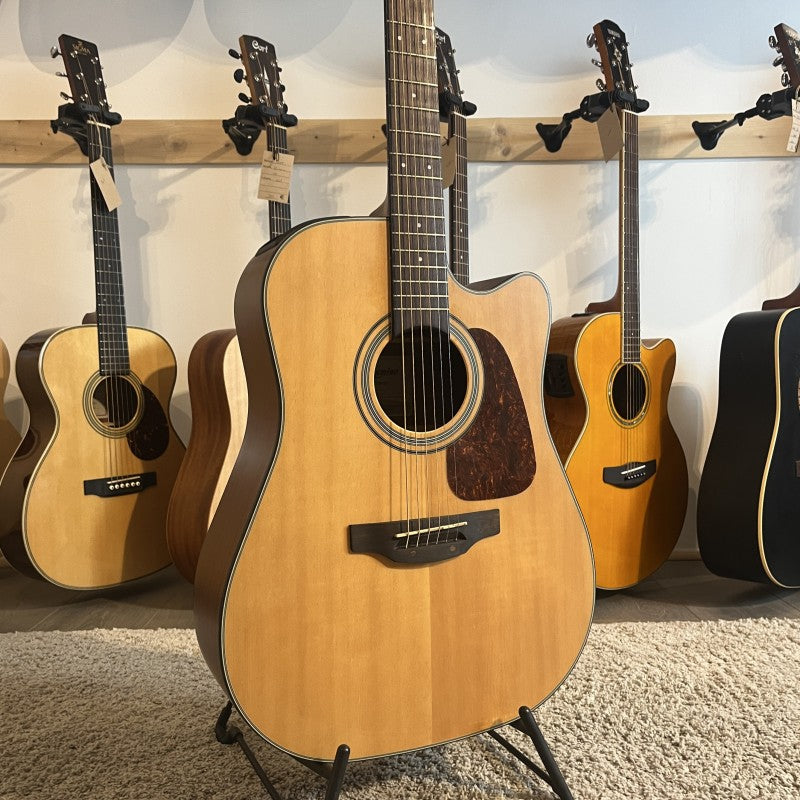 Takamine GD10CE