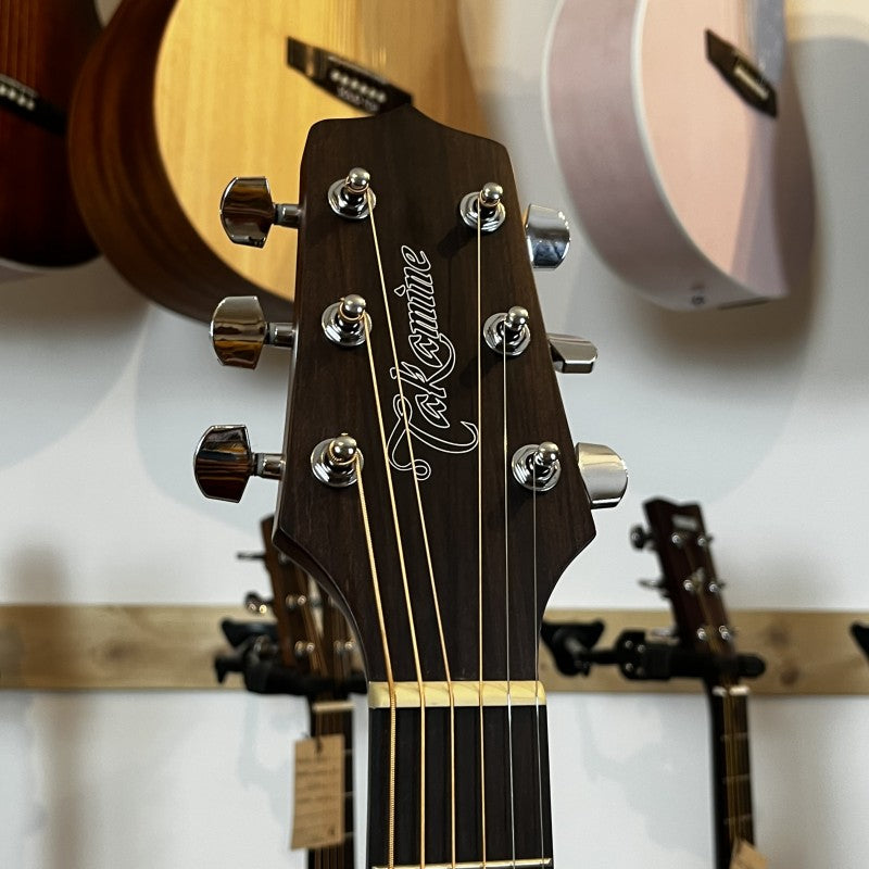 Takamine GD10NS