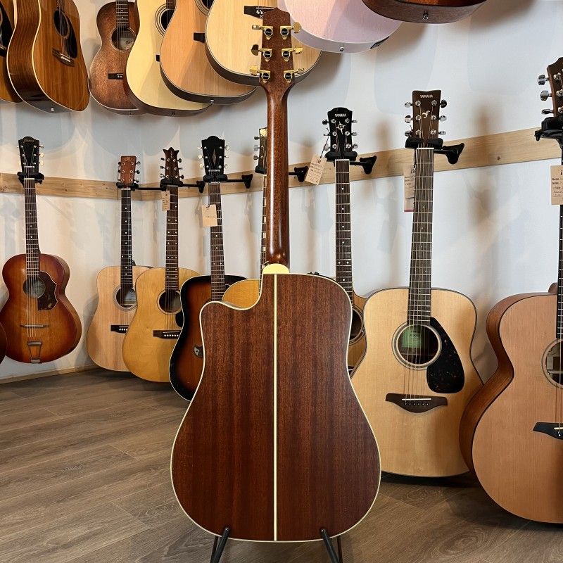 TAKAMINE TAN10CR