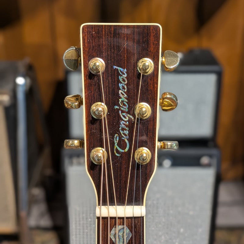 Tanglewood TW1000N