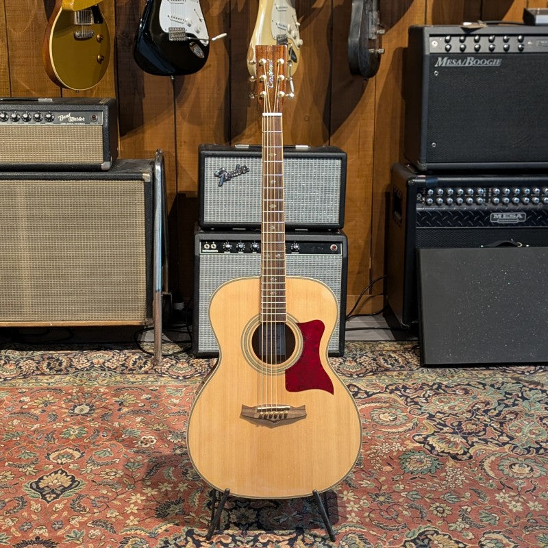 Tanglewood TW170E