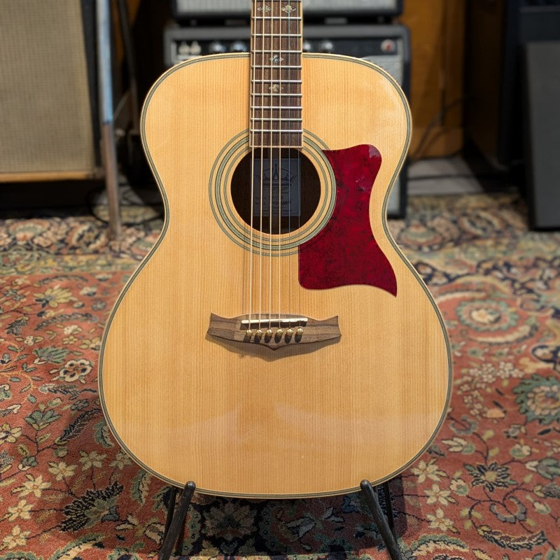 Tanglewood TW170E