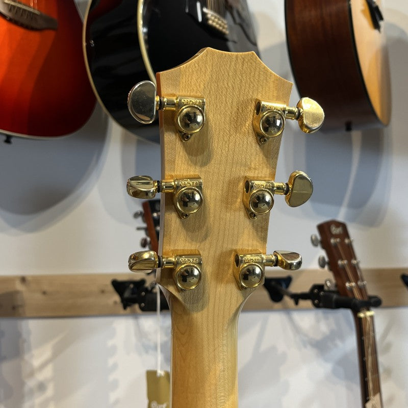 Taylor 614ce with Fishman Electronics