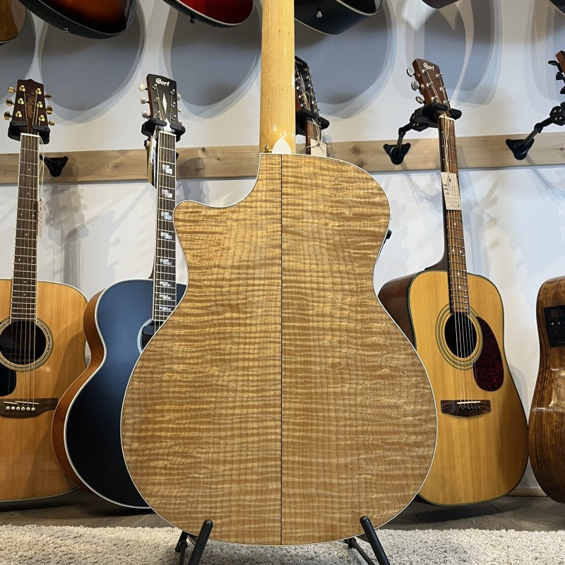 Taylor 614ce with Fishman Electronics