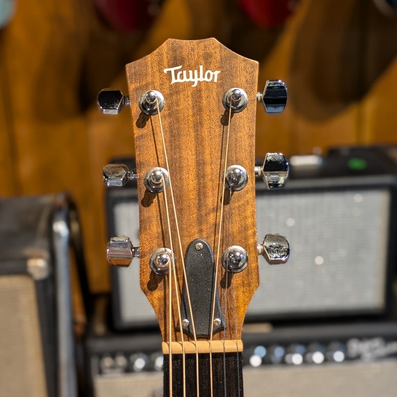 Taylor Academy 12 - natural