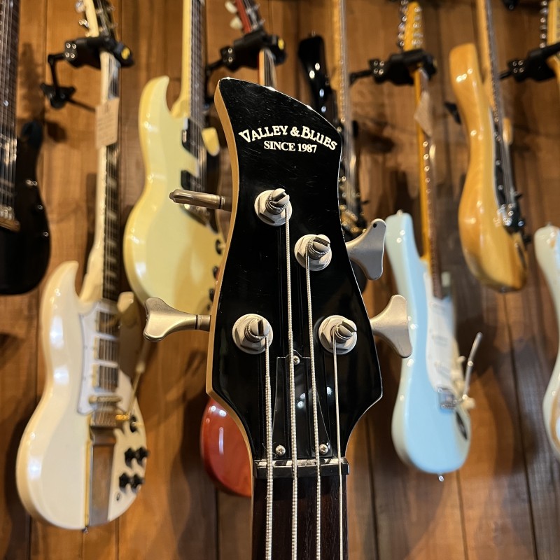 VALLEY AND BLUES BASS