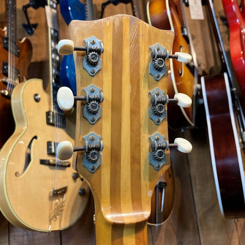 VINTAGE ROGER CUSTOM THINLINE 58-60'S