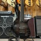 FBASS AC-5 Fretless Alain Caron Signature F Bass - 6