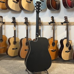 Ibanez AW84CE-WK (2019) Chine Ibanez - 2