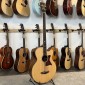 Tanglewood TW155 A/Bass (2014) Chine TangleWood - 5