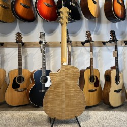 Taylor 614ce with Fishman Electronics Taylor - 2
