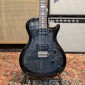 PRS SE Mark Tremonti PRS - 6