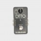 TC Electronic Ditto Looper 2013 - Present - Black TC Electronic - 3