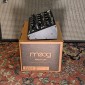 Moog Minitaur Rev2 TBP002 2012 - Present - Black  - 3