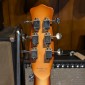 Danelectro Longhorn Guitar - Copper Burst Danelectro - 3