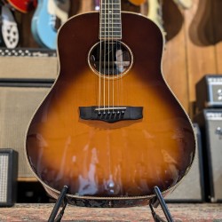 Homestead Guitars DS  - 7