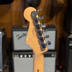 Fender Standard Stratocaster with Maple Fretboard 2014 Fender - 1