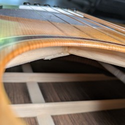 Lakewood Natural Series D-31 CP  - 1